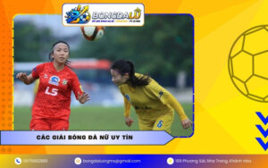 Các giải bóng đá nữ uy tín