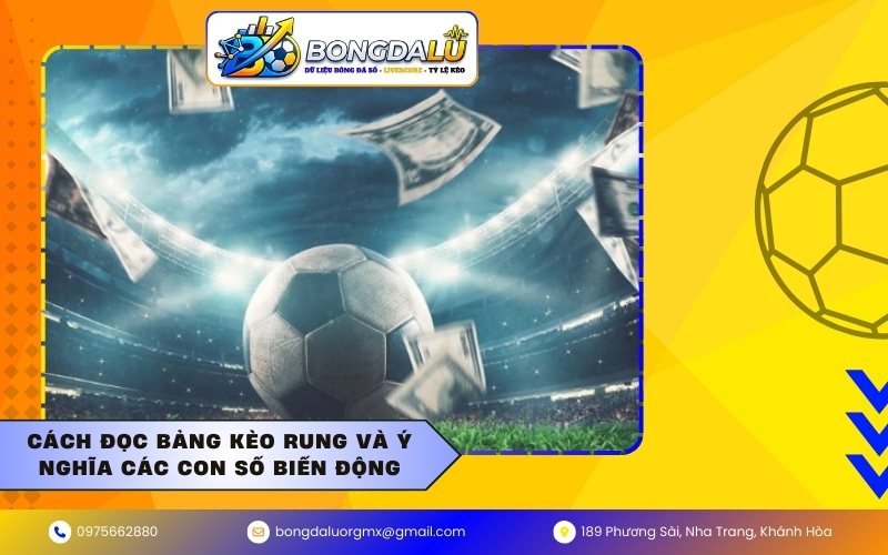 Cách đọc bảng kèo rung và ý nghĩa các con số biến động