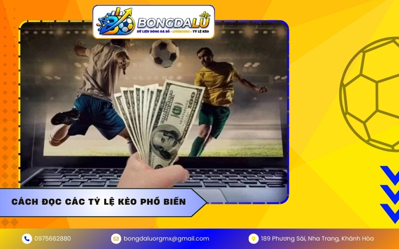 Cách đọc các tỷ lệ kèo phổ biến