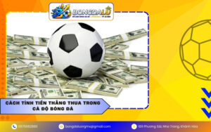 Cách tính tiền thắng thua trong cá độ bóng đá