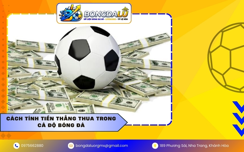 Cách tính tiền thắng thua trong cá độ bóng đá