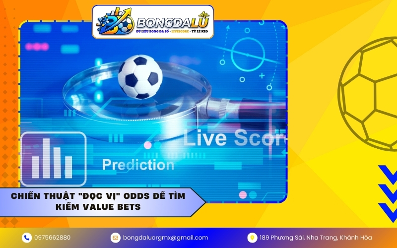 Chiến thuật "đọc vị" Odds để tìm kiếm Value Bets