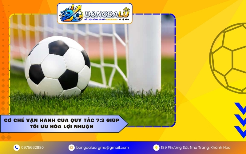 Cơ chế vận hành của quy tắc 7:3 giúp tối ưu hóa lợi nhuận