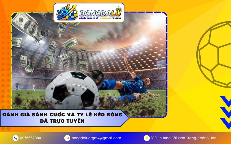 Đánh giá sảnh cược và tỷ lệ kèo bóng đá trực tuyến