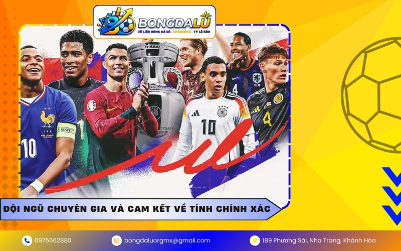 Đội ngũ chuyên gia và cam kết về tính chính xác