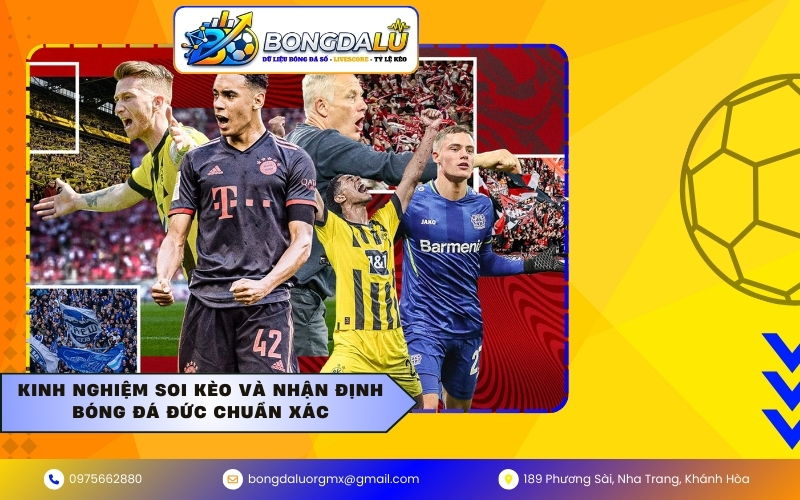 Kinh nghiệm soi kèo và nhận định bóng đá Đức chuẩn xác