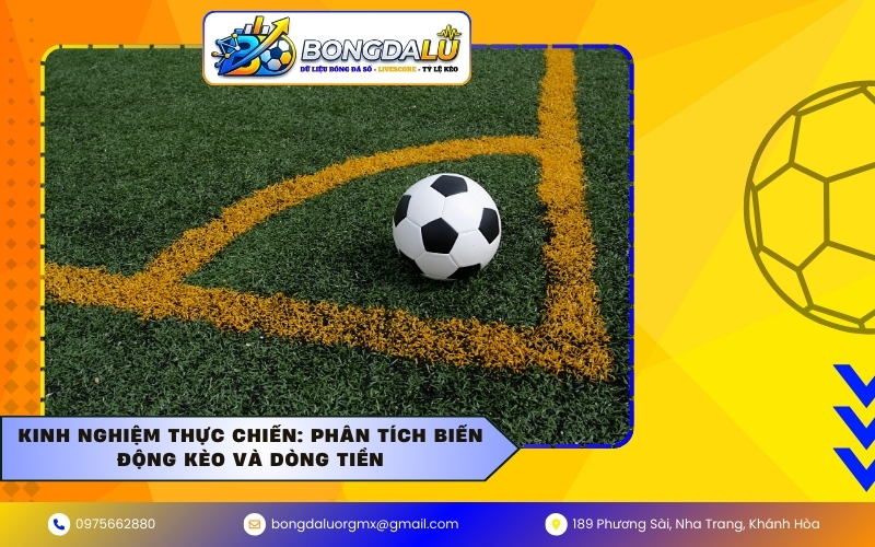 Kinh nghiệm thực chiến: Phân tích biến động kèo và dòng tiền