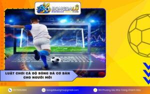 Luật chơi cá độ bóng đá cơ bản cho người mới