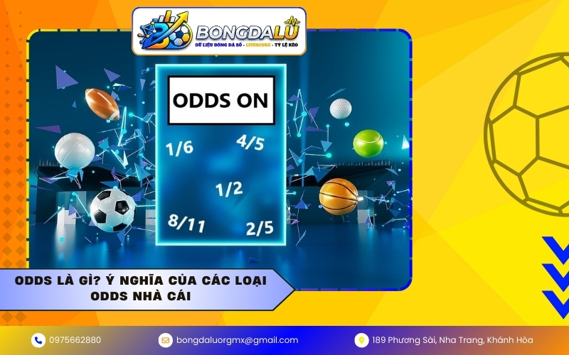 Odds là gì? Ý nghĩa của các loại Odds nhà cái