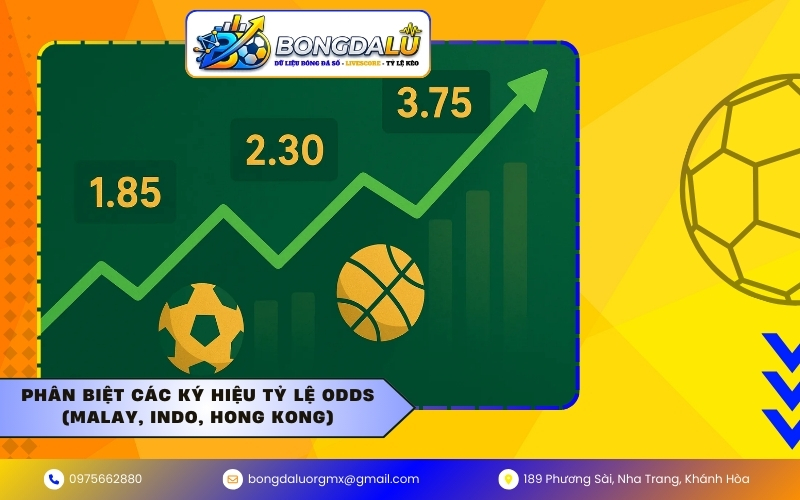 Phân biệt các ký hiệu tỷ lệ Odds (Malay, Indo, Hong Kong)