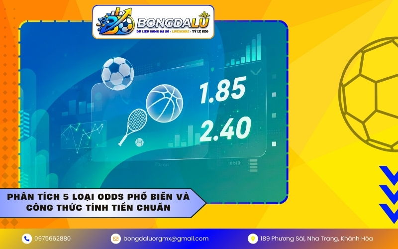 Phân tích 5 loại Odds phổ biến và công thức tính tiền chuẩn