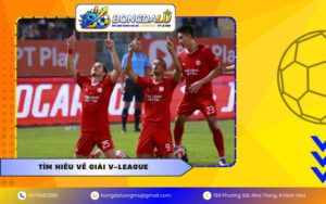Tìm hiểu về giải V-League