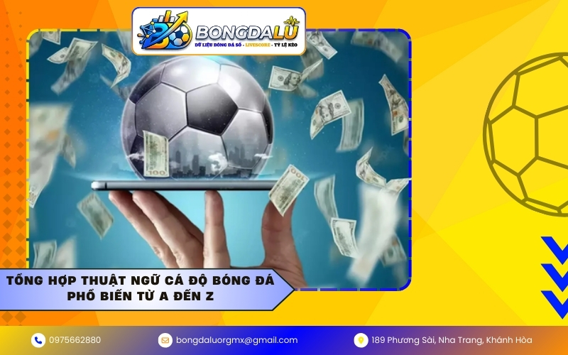 Tổng hợp thuật ngữ cá độ bóng đá phổ biến từ A đến Z