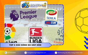 Top 5 giải bóng đá hấp dẫn